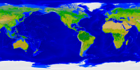 World (Type 4) Vegetation 2000x1000